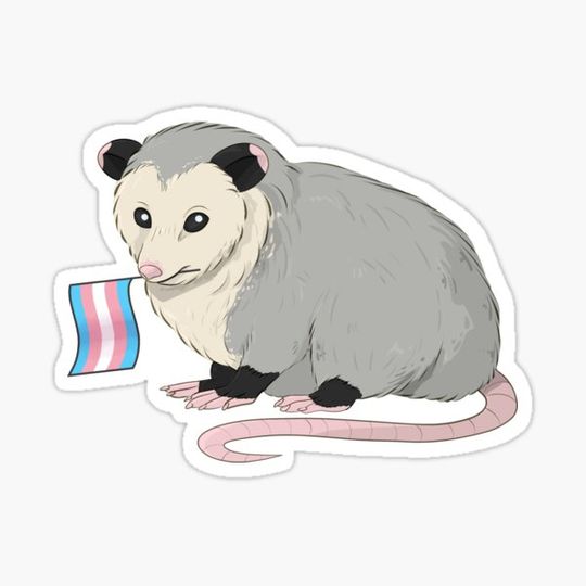 Discover Transgender Pride Flag Opossum