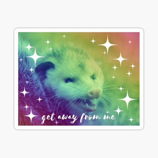 Discover rainbow opossum says "get away from me"