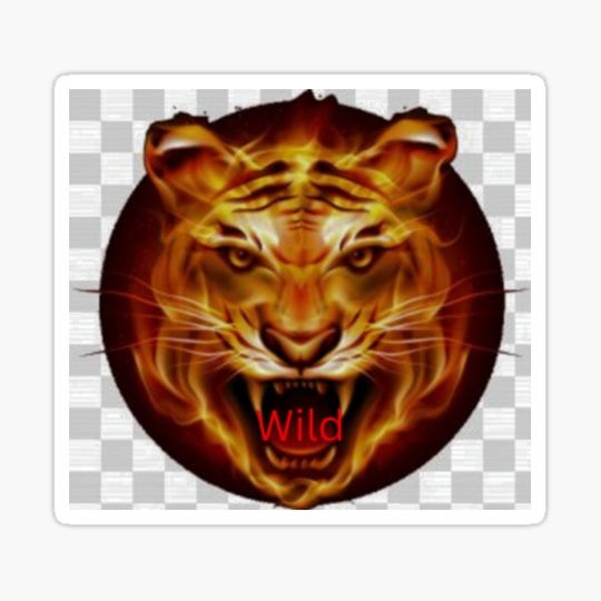 Discover Tiger wild