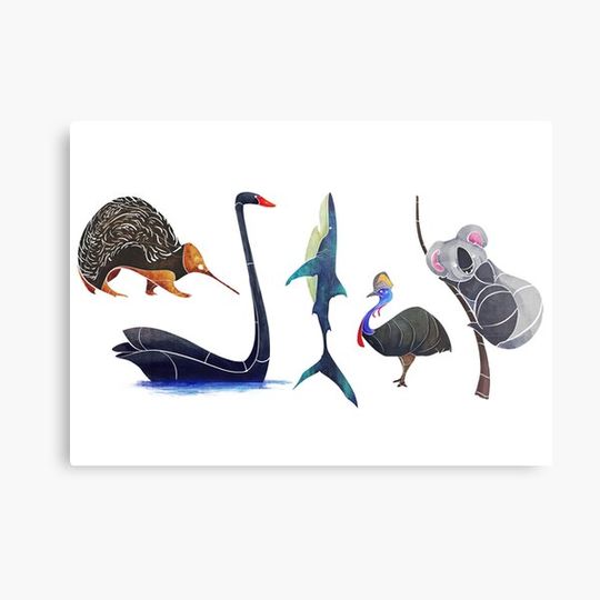 Discover Australian animals
