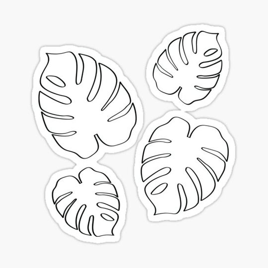 Discover Minimalist leaves plants