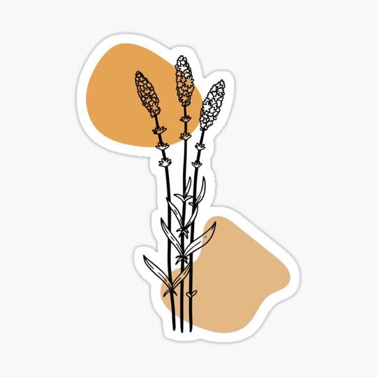Discover Minimalist Orange Flower Drawing
