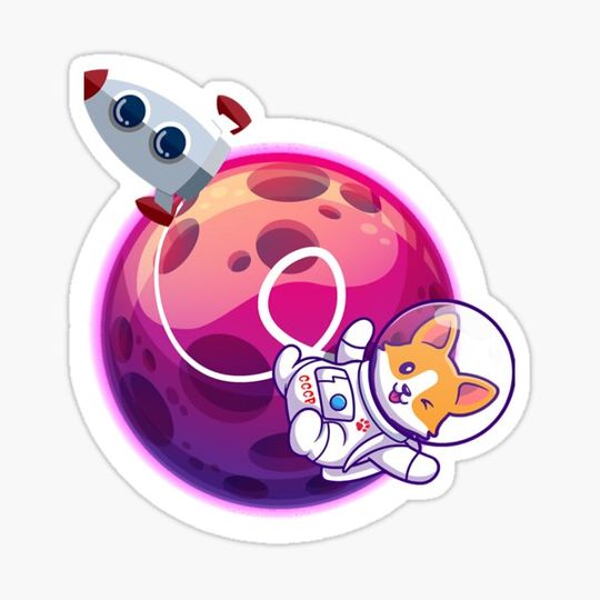 Discover First Dog Traveler In Space