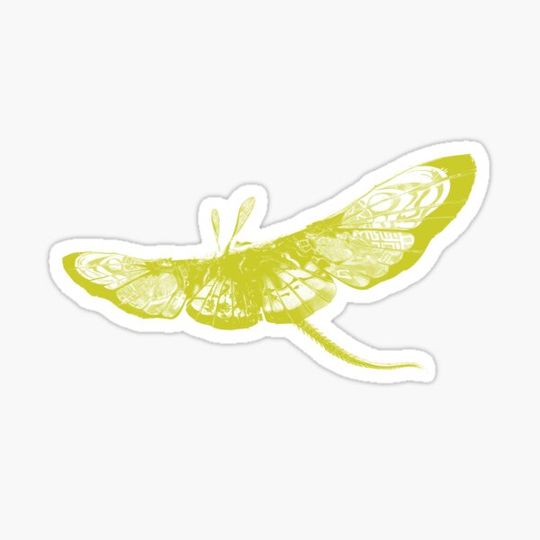 Discover Fantasy Butterfly