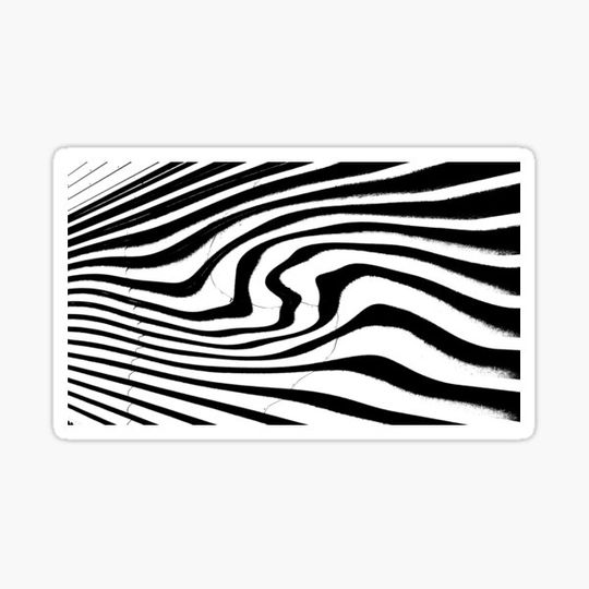 Discover Linear Functions - Zebra Pattern - B&W