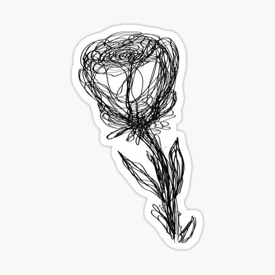 Discover Beauty in Chaos