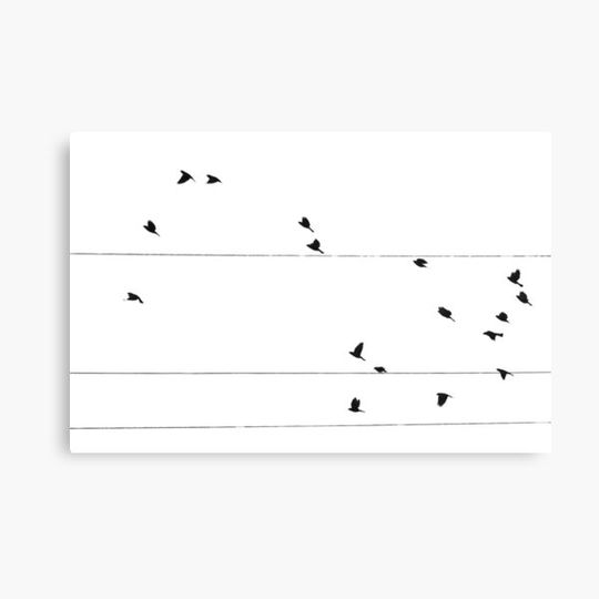 Discover Black Bird Minimalistic Photo Art - Nature Geek Chic