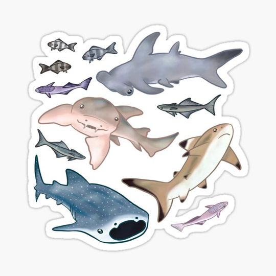 Discover Cute Shark Infestation