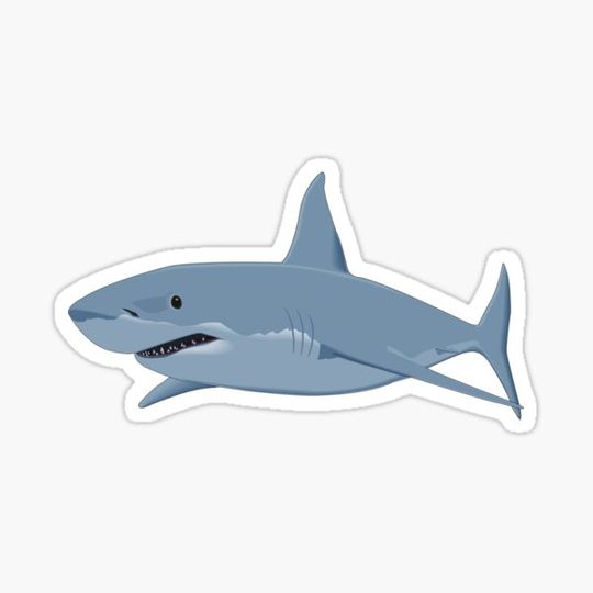 Discover Shark Illustration