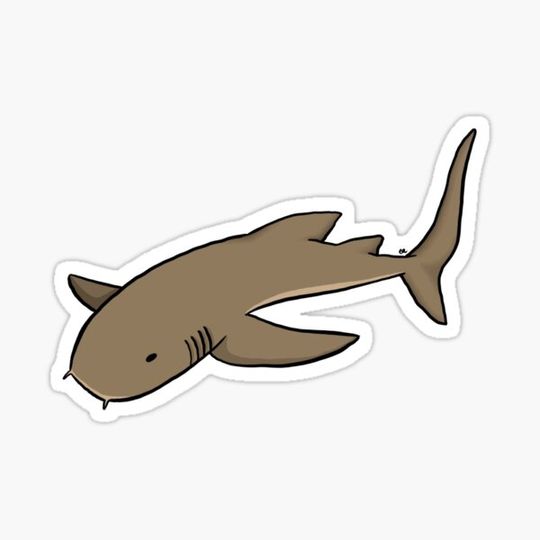 Discover Nurse Shark