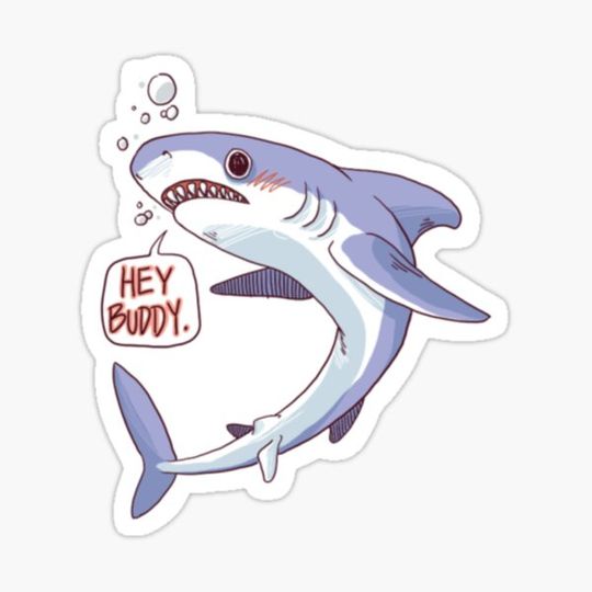 Discover Shark says Hi