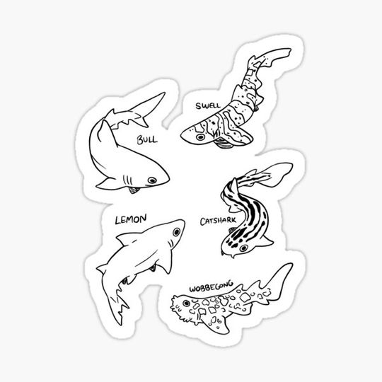 Discover Shark bundle 4