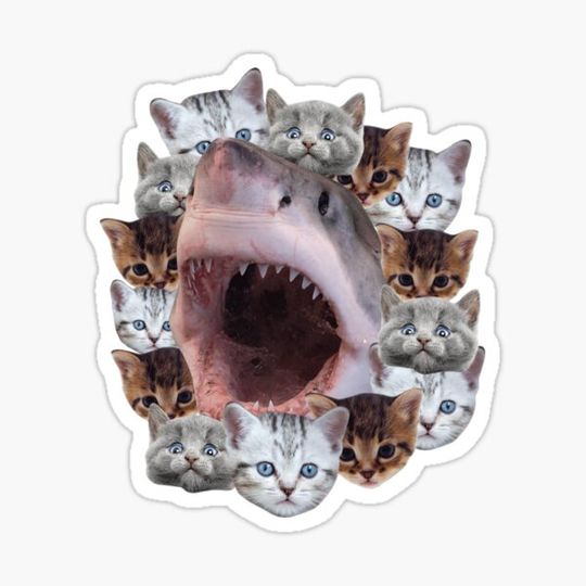 Discover Great White Shark With Kittens