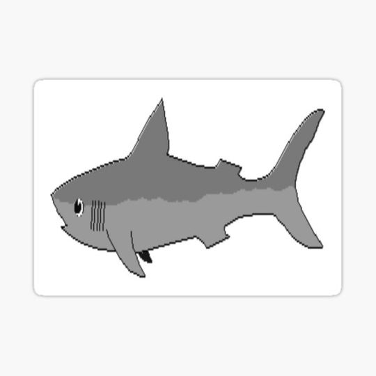 Discover Grey Shark