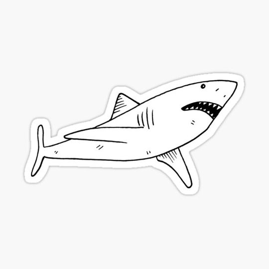 Discover Shark