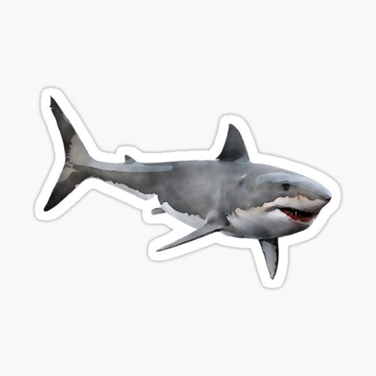 Discover Great White Shark