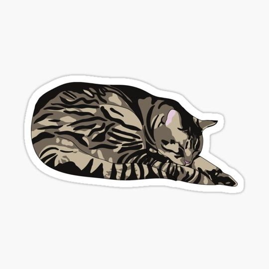 Discover Sleepy Cat