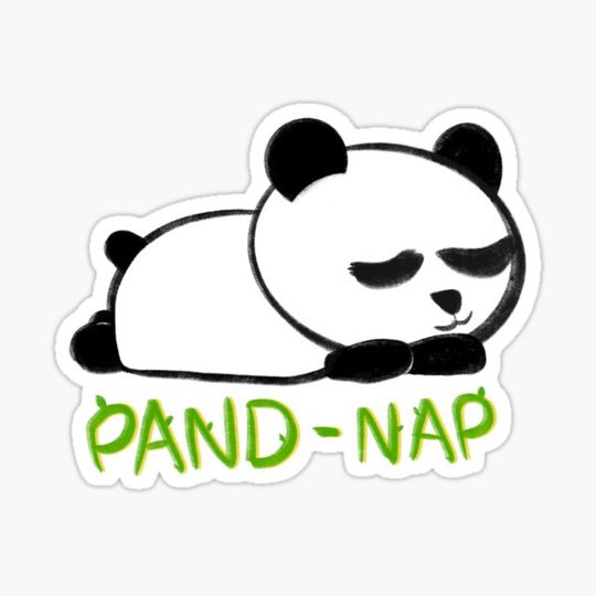 Discover Cute Sleepy Friendly Panda Bear