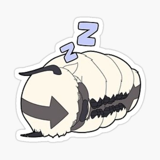 Discover Avatar's Sleeping Appa