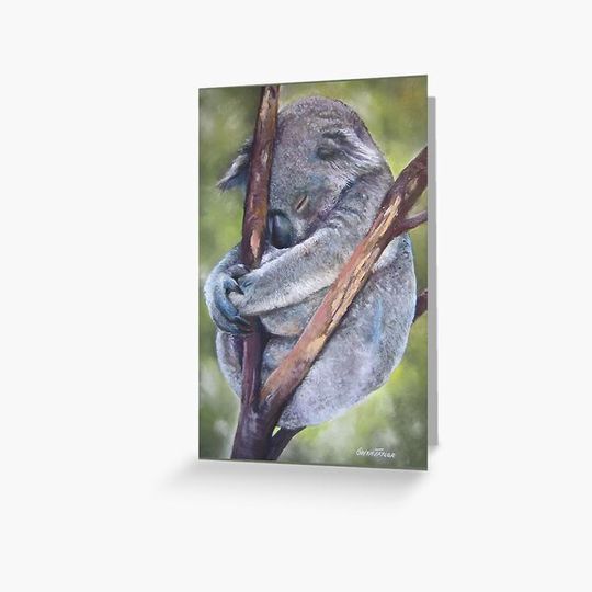 Discover Koala Sleeping