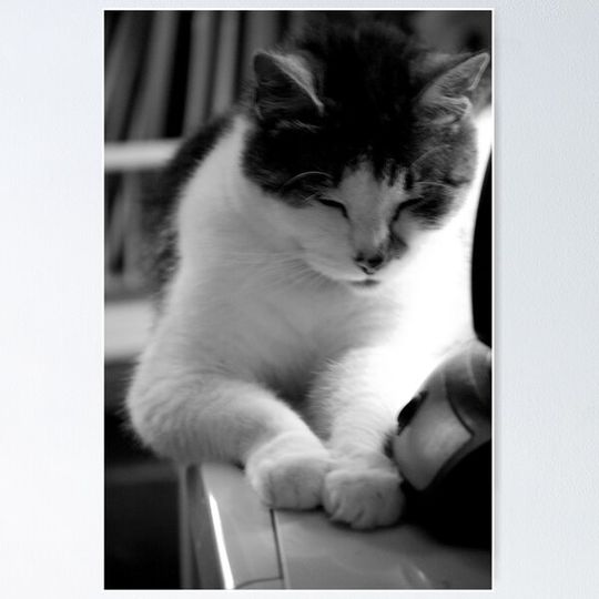 Discover Sleeping Sitting Up