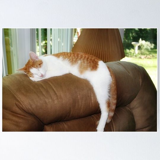 Discover Nappin'