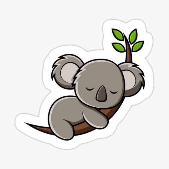 Discover cute koala sleeping