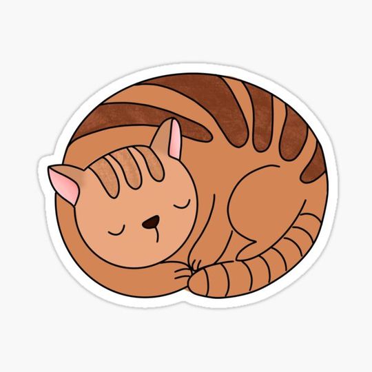 Discover Sleeping Cat