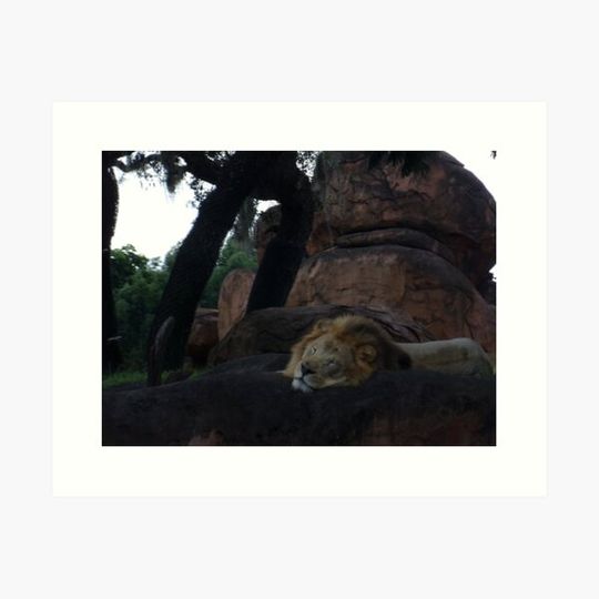 Discover The Sleeping King