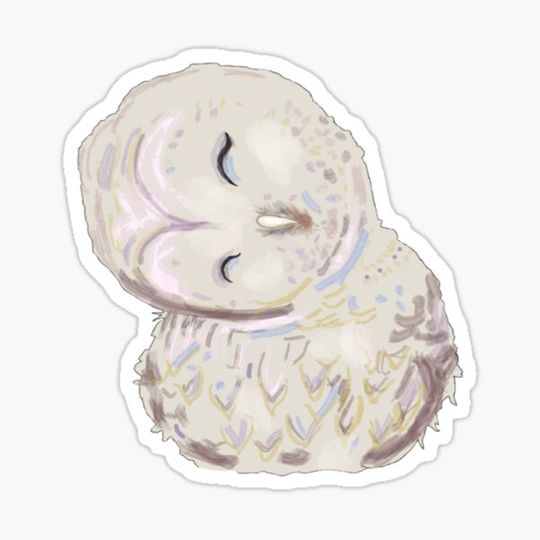 Discover Sleeping baby owl