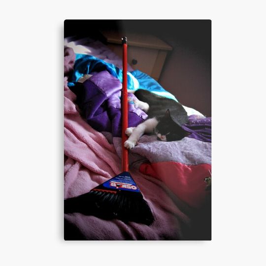 Discover Sleeping Cat