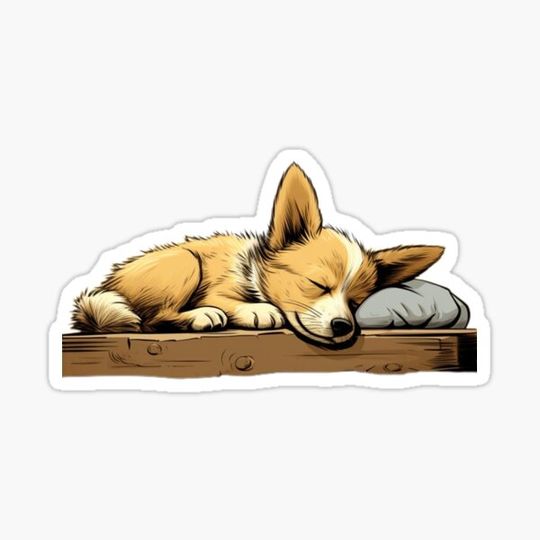 Discover Cute Dog sleeping