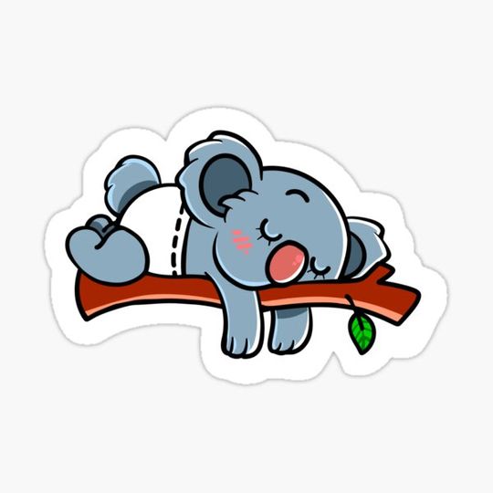 Discover Cute  Sleeping  baby Koala Bear