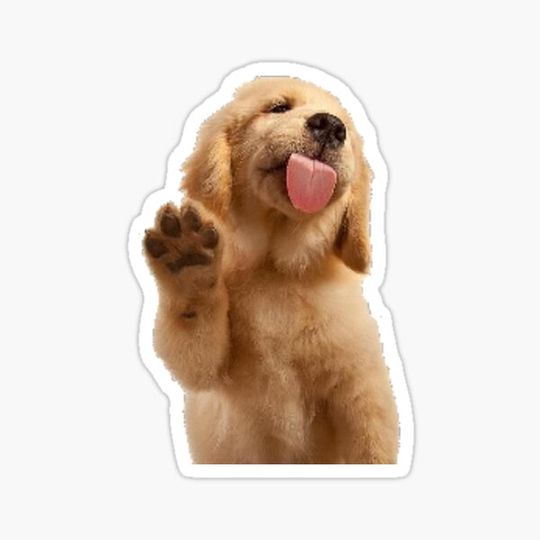 Discover puppy kisses
