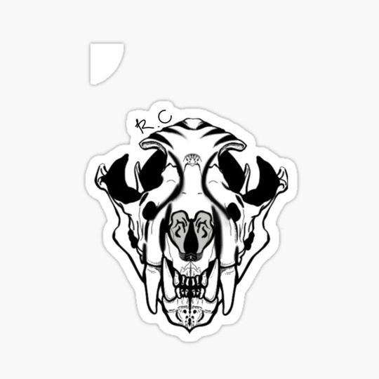 Discover Black and White Lion Skull