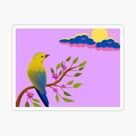 Discover Bird