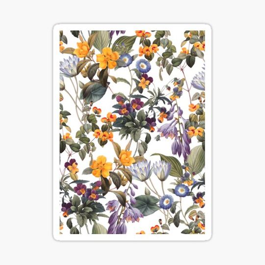 Discover Summer Dreams V