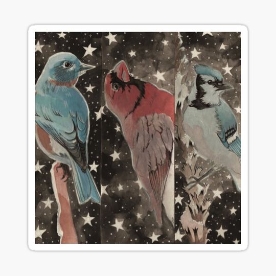 Discover Celestial Birds