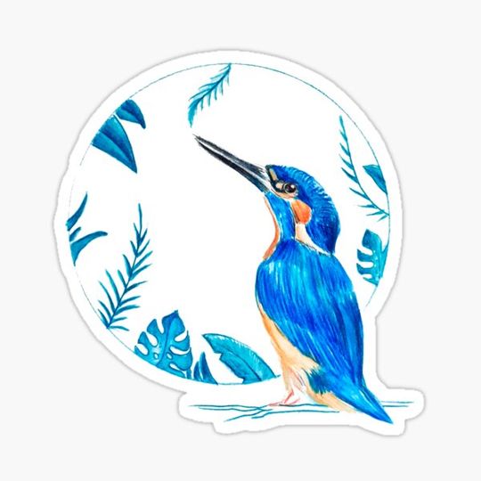 Discover Blue Bird