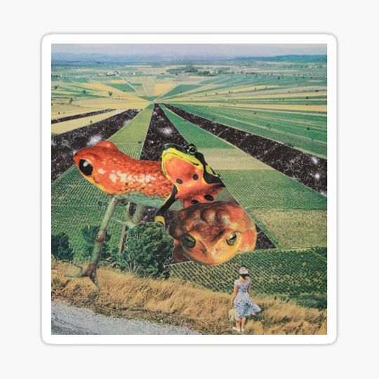 Discover Space Frogs