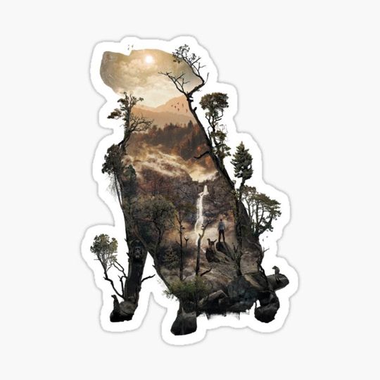 Discover The Black Lab