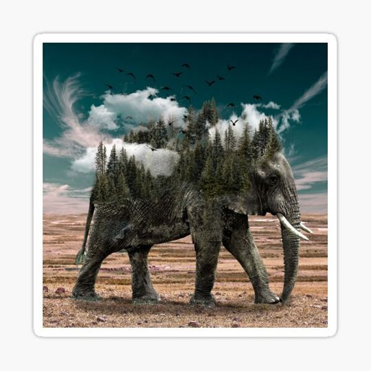 Discover Elephant Forest Nature