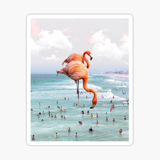 Discover Flamingos in Paradise
