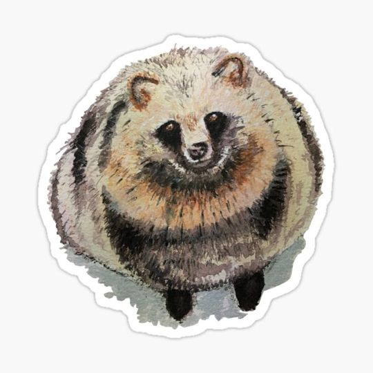 Discover Chubby and fluffy tanuki (raccoon dog)