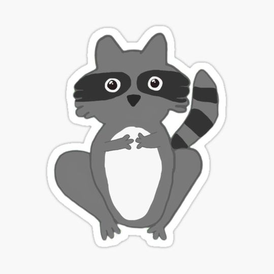 Discover Rory The Raccoon