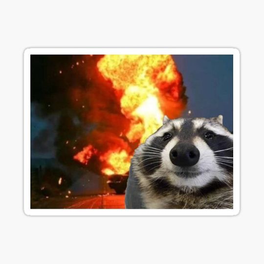 Discover chaos racoon