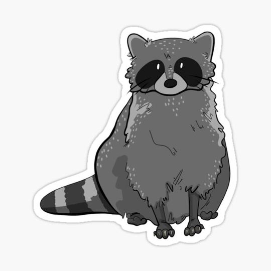 Discover sitting raccoon