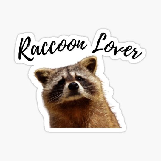 Discover Funny Raccoon
