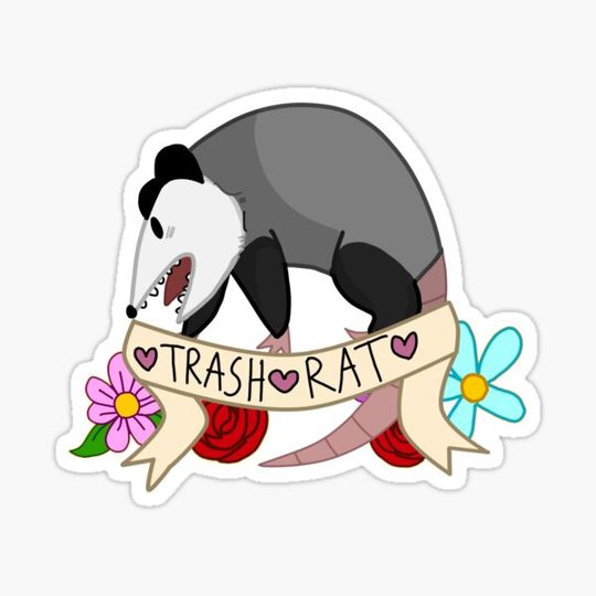 Discover Possums are just Trash Cats.