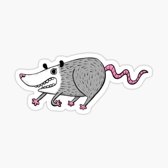 Discover Scurrying Opossum